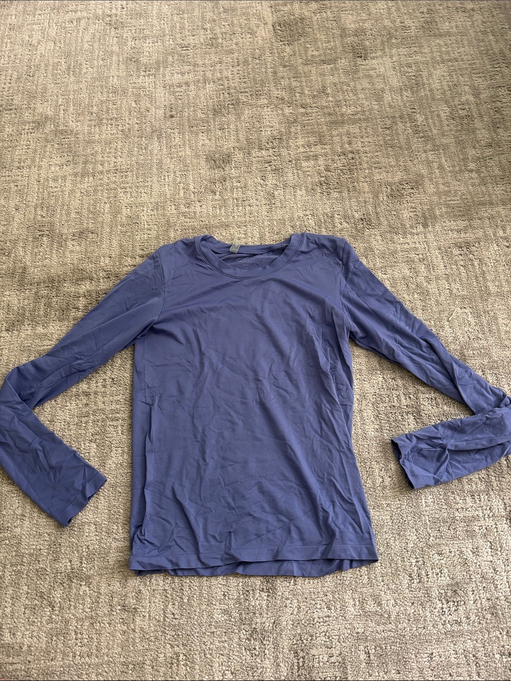 Aritzia Long-Sleeve Crewneck Top in Periwinkle Blue